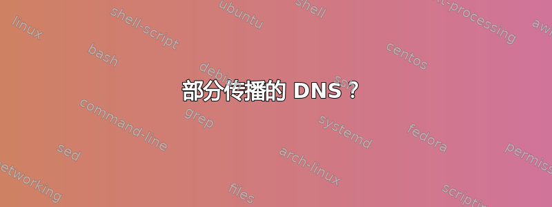 部分传播的 DNS？