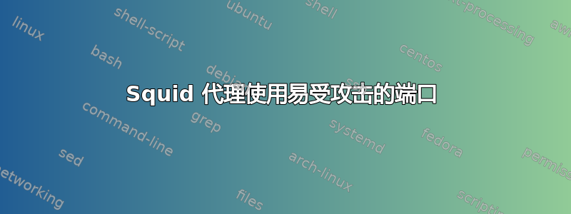 Squid 代理使用易受攻击的端口