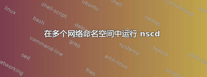 在多个网络命名空间中运行 nscd