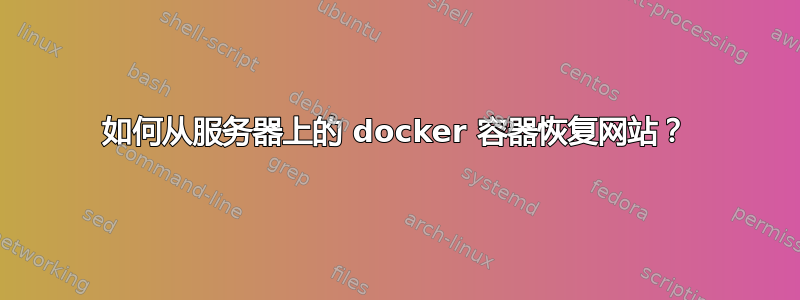 如何从服务器上的 docker 容器恢复网站？