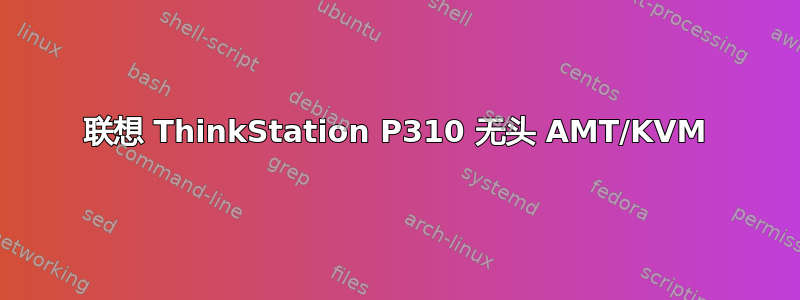 联想 ThinkStation P310 无头 AMT/KVM