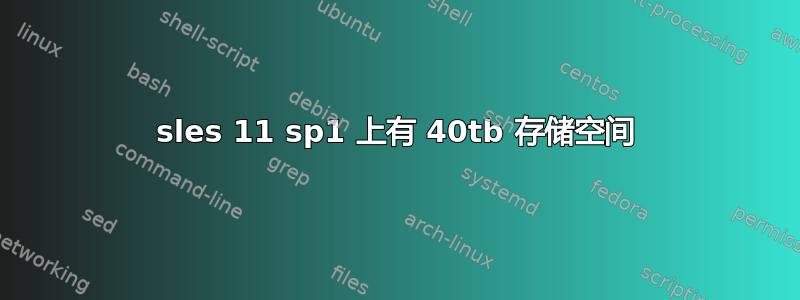 sles 11 sp1 上有 40tb 存储空间