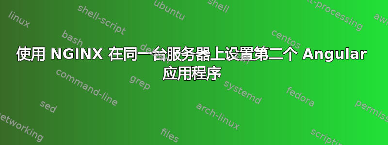 使用 NGINX 在同一台服务器上设置第二个 Angular 应用程序