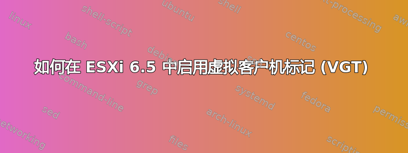 如何在 ESXi 6.5 中启用虚拟客户机标记 (VGT)