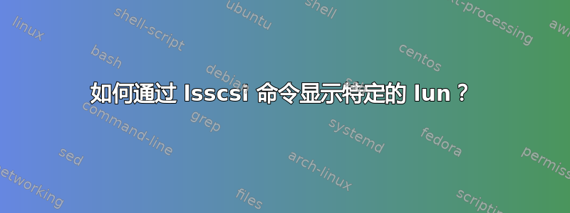 如何通过 lsscsi 命令显示特定的 lun？