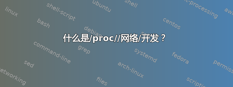 什么是/proc//网络/开发？