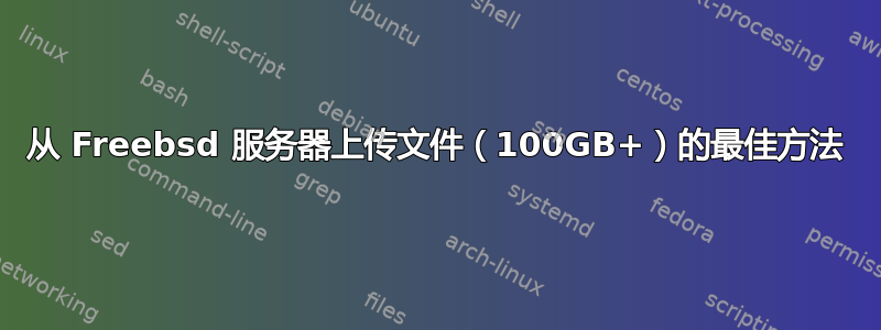 从 Freebsd 服务器上传文件（100GB+）的最佳方法