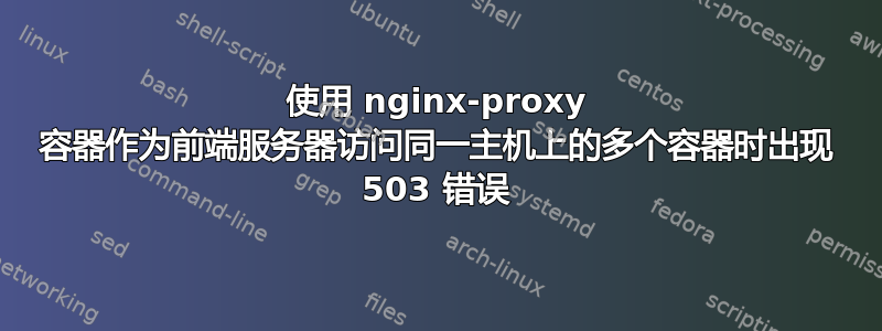 使用 nginx-proxy 容器作为前端服务器访问同一主机上的多个容器时出现 503 错误