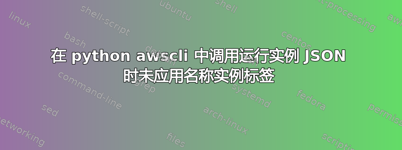 在 python awscli 中调用运行实例 JSON 时未应用名称实例标签