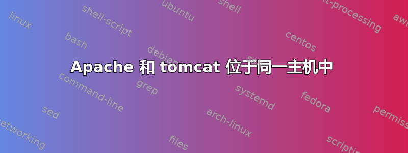 Apache 和 tomcat 位于同一主机中