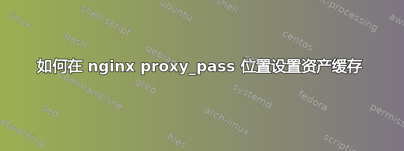 如何在 nginx proxy_pass 位置设置资产缓存