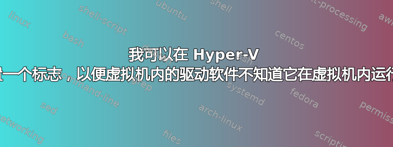 我可以在 Hyper-V 中设置一个标志，以便虚拟机内的驱动软件不知道它在虚拟机内运行吗？