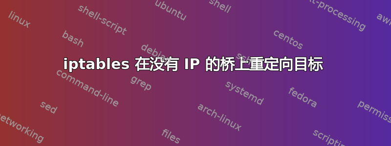 iptables 在没有 IP 的桥上重定向目标