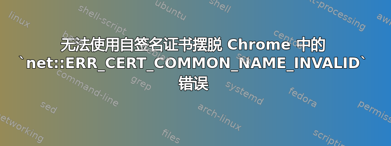 无法使用自签名证书摆脱 Chrome 中的 `net::ERR_CERT_COMMON_NAME_INVALID` 错误