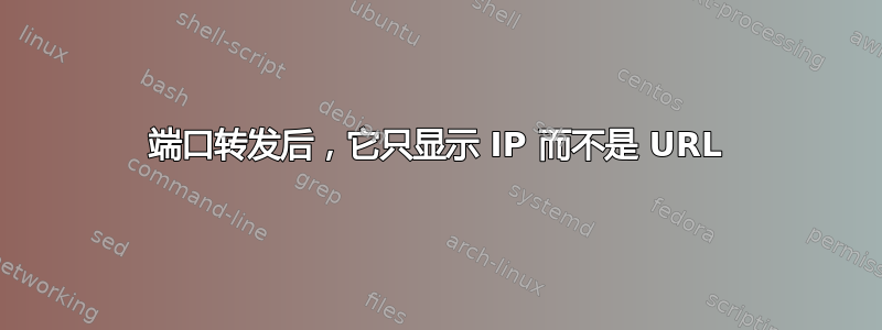 端口转发后，它只显示 IP 而不是 URL