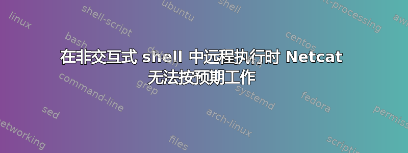 在非交互式 shell 中远程执行时 Netcat 无法按预期工作