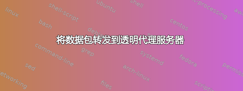 将数据包转发到透明代理服务器