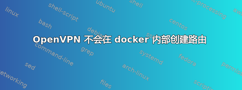 OpenVPN 不会在 docker 内部创建路由