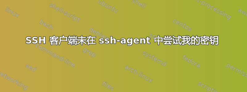 SSH 客户端未在 ssh-agent 中尝试我的密钥