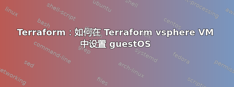 Terraform：如何在 Terraform vsphere VM 中设置 guestOS