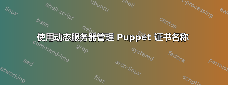 使用动态服务器管理 Puppet 证书名称