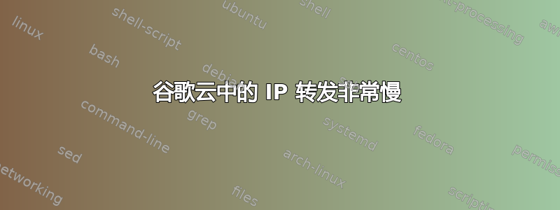 谷歌云中的 IP 转发非常慢