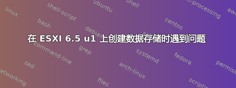 在 ESXI 6.5 u1 上创建数据存储时遇到问题