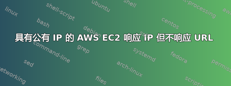 具有公有 IP 的 AWS EC2 响应 IP 但不响应 URL