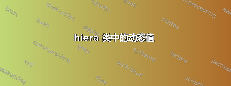 hiera 类中的动态值