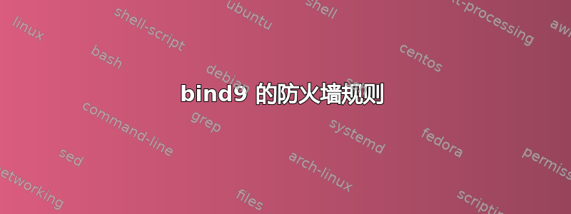 bind9 的防火墙规则