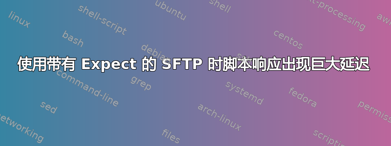 使用带有 Expect 的 SFTP 时脚本响应出现巨大延迟