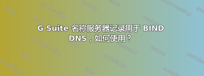 G Suite 名称服务器记录用于 BIND DNS，如何使用？