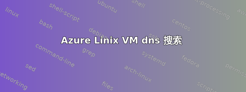 Azure Linix VM dns 搜索