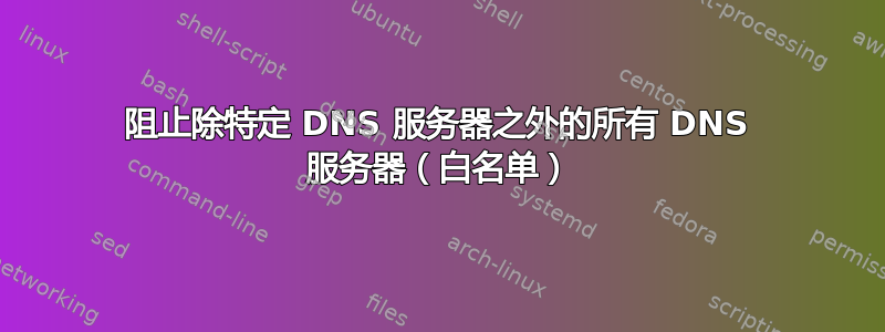 阻止除特定 DNS 服务器之外的所有 DNS 服务器（白名单）