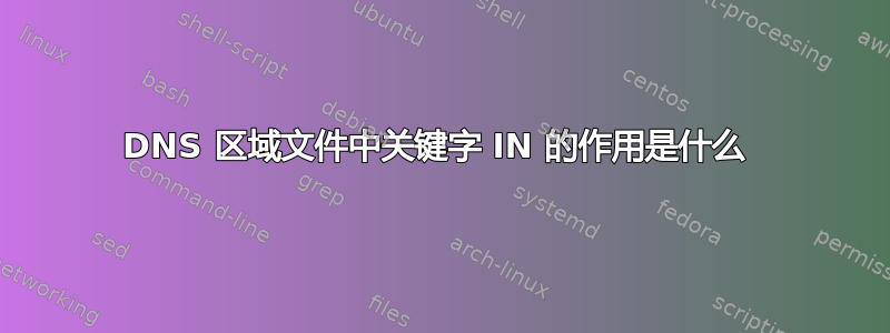 DNS 区域文件中关键字 IN 的作用是什么 