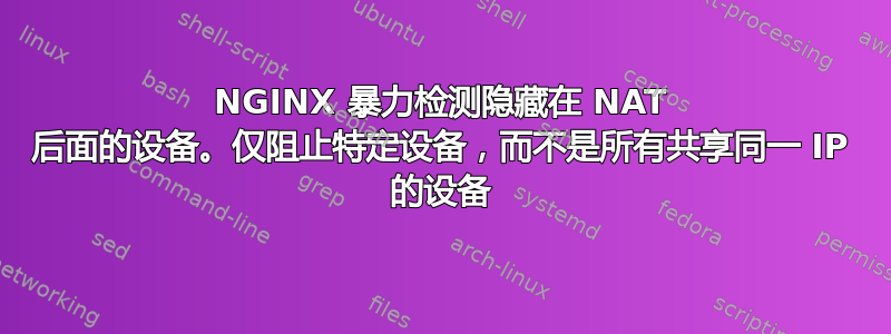 NGINX 暴力检测隐藏在 NAT 后面的设备。仅阻止特定设备，而不是所有共享同一 IP 的设备