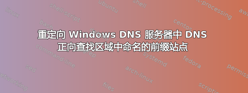 重定向 Windows DNS 服务器中 DNS 正向查找区域中命名的前缀站点