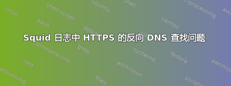 Squid 日志中 HTTPS 的反向 DNS 查找问题