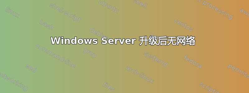 Windows Server 升级后无网络