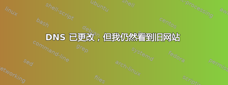 DNS 已更改，但我仍然看到旧网站