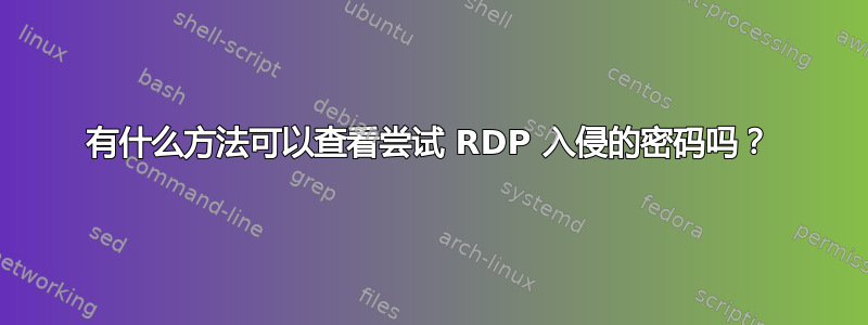 有什么方法可以查看尝试 RDP 入侵的密码吗？