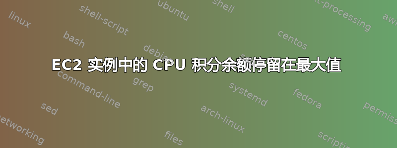 EC2 实例中的 CPU 积分余额停留在最大值