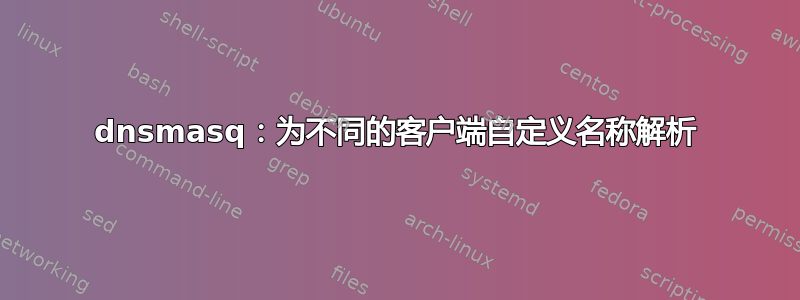 dnsmasq：为不同的客户端自定义名称解析