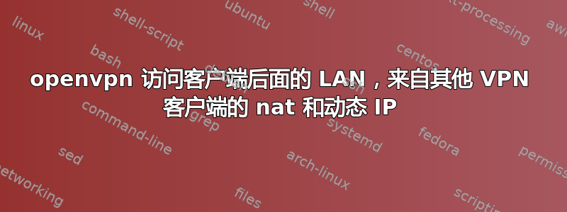 openvpn 访问客户端后面的 LAN，来自其他 VPN 客户端的 nat 和动态 IP