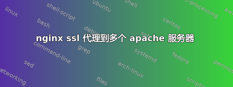 nginx ssl 代理到多个 apache 服务器