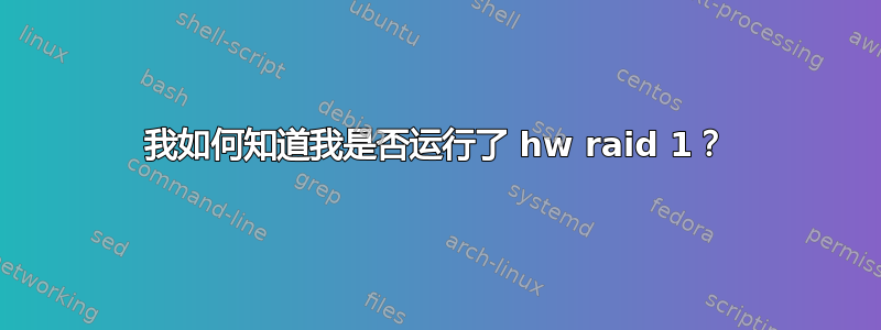 我如何知道我是否运行了 hw raid 1？