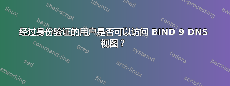 经过身份验证的用户是否可以访问 BIND 9 DNS 视图？