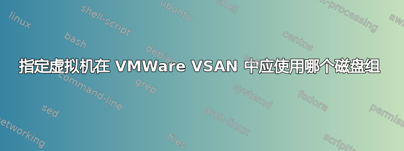 指定虚拟机在 VMWare VSAN 中应使用哪个磁盘组