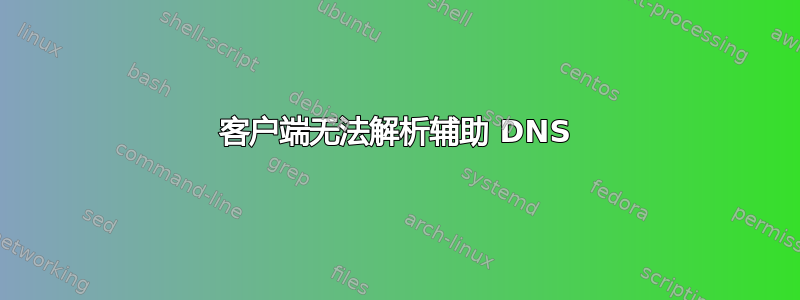 客户端无法解析辅助 DNS