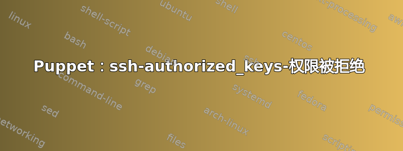 Puppet：ssh-authorized_keys-权限被拒绝